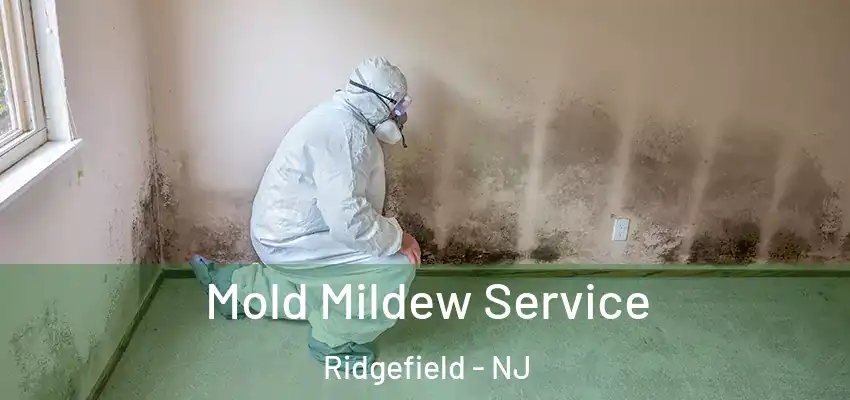 Mold Mildew Service Ridgefield - NJ