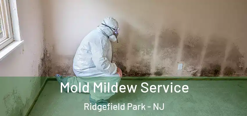  Mold Mildew Service Ridgefield Park - NJ