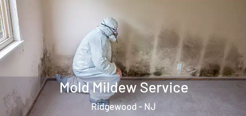  Mold Mildew Service Ridgewood - NJ