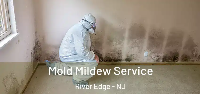 Mold Mildew Service River Edge - NJ