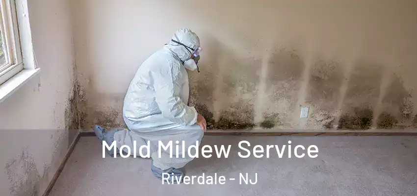  Mold Mildew Service Riverdale - NJ