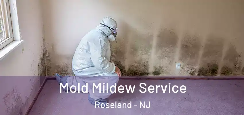  Mold Mildew Service Roseland - NJ