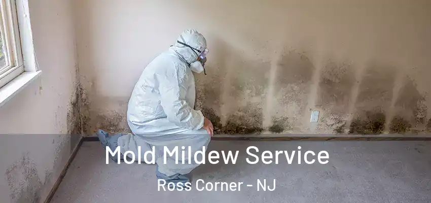 Mold Mildew Service Ross Corner - NJ