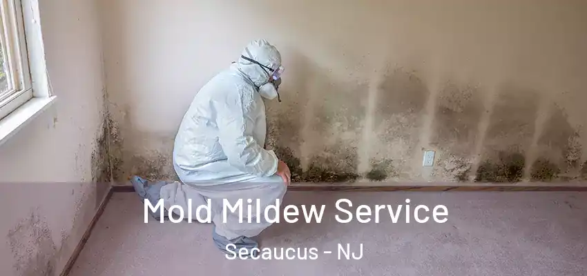 Mold Mildew Service Secaucus - NJ