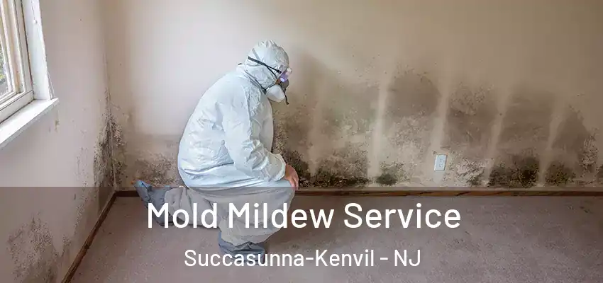 Mold Mildew Service Succasunna-Kenvil - NJ