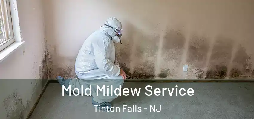 Mold Mildew Service Tinton Falls - NJ