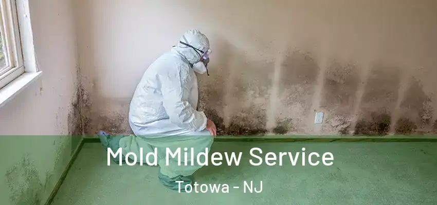  Mold Mildew Service Totowa - NJ