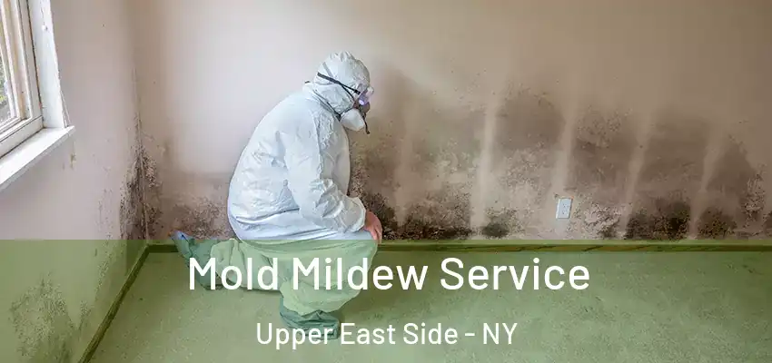  Mold Mildew Service Upper East Side - NY