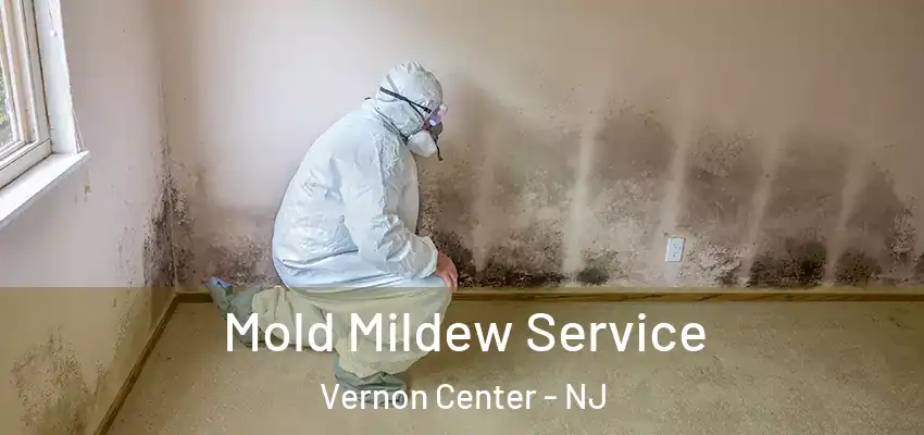 Mold Mildew Service Vernon Center - NJ