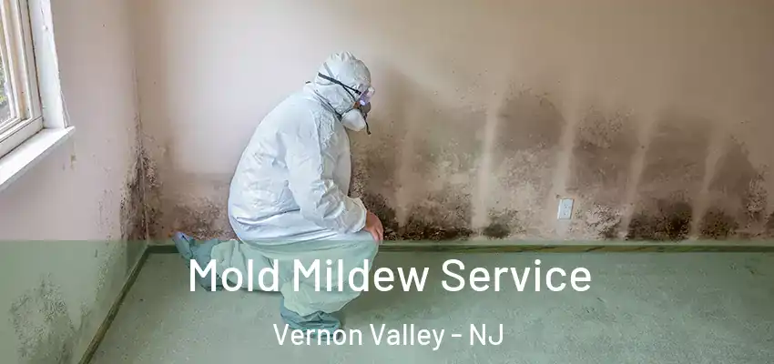 Mold Mildew Service Vernon Valley - NJ