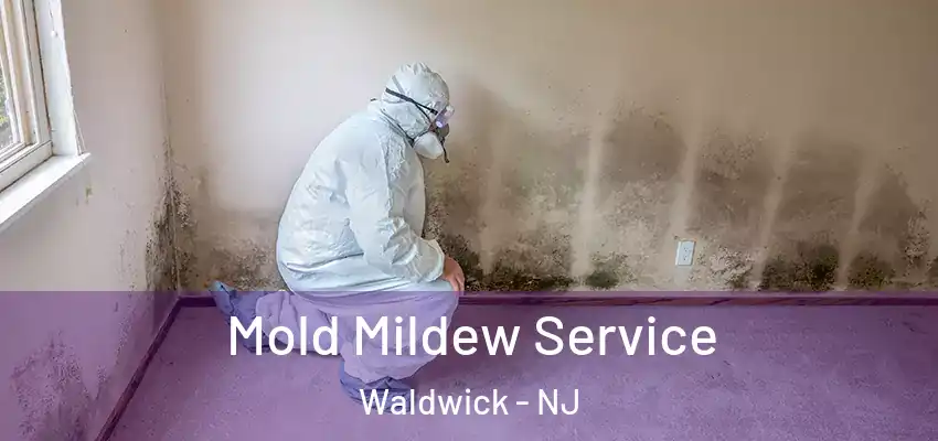  Mold Mildew Service Waldwick - NJ