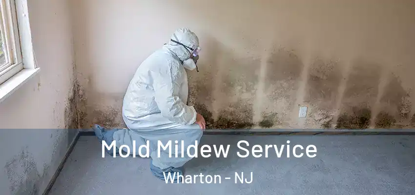 Mold Mildew Service Wharton - NJ