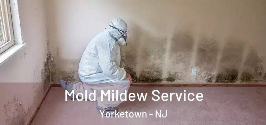 Mold Mildew Service Yorketown - NJ