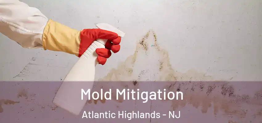 Mold Mitigation Atlantic Highlands - NJ