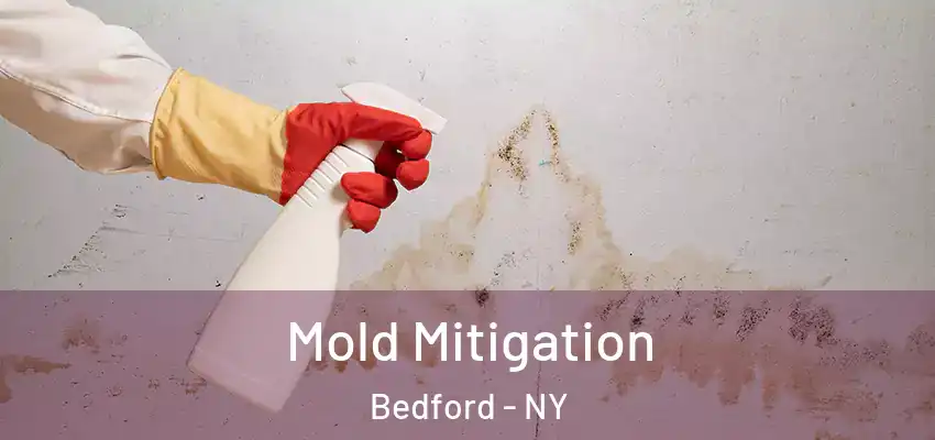 Mold Mitigation Bedford - NY
