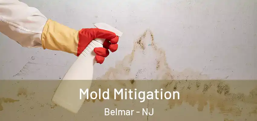 Mold Mitigation Belmar - NJ
