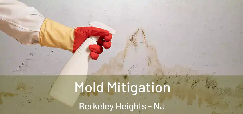 Mold Mitigation Berkeley Heights - NJ