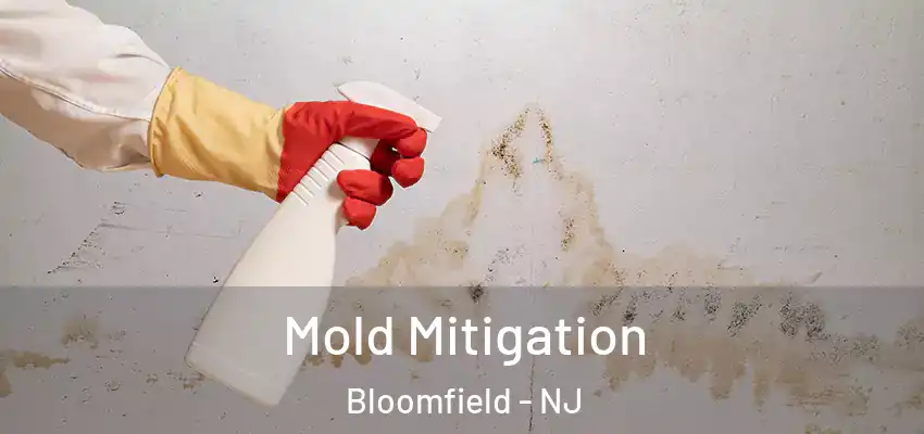 Mold Mitigation Bloomfield - NJ