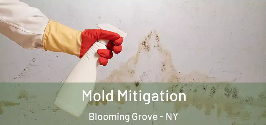 Mold Mitigation Blooming Grove - NY