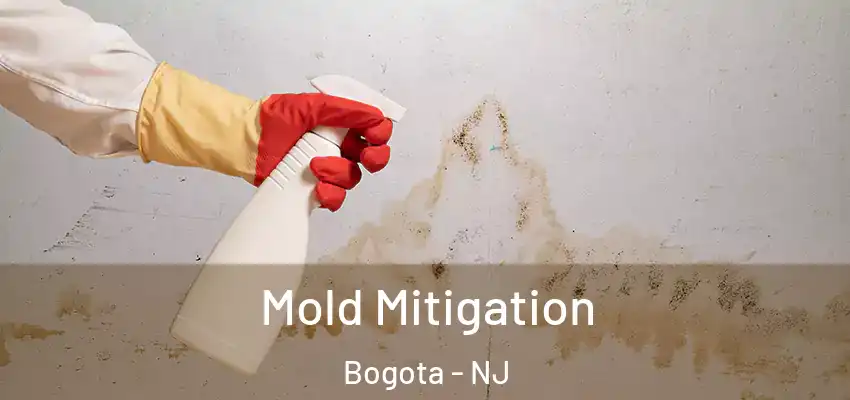  Mold Mitigation Bogota - NJ