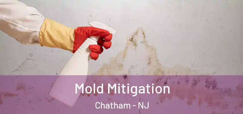 Mold Mitigation Chatham - NJ