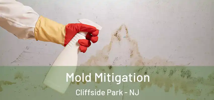  Mold Mitigation Cliffside Park - NJ