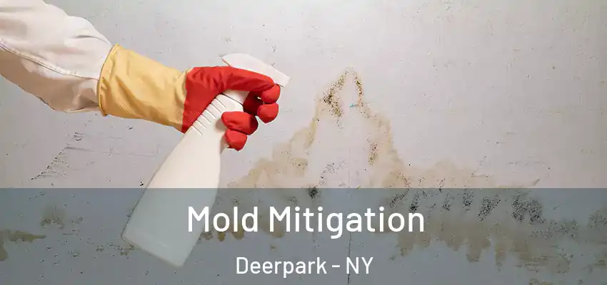 Mold Mitigation Deerpark - NY