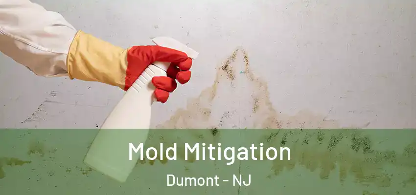 Mold Mitigation Dumont - NJ