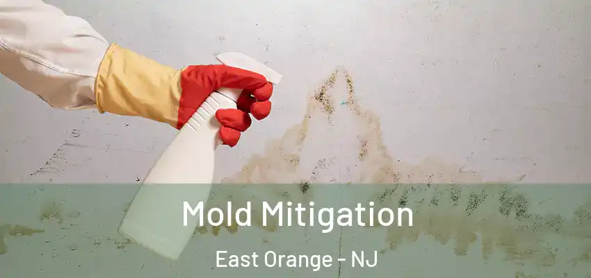 Mold Mitigation East Orange - NJ