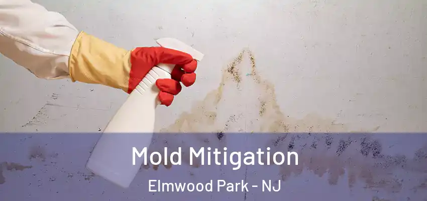 Mold Mitigation Elmwood Park - NJ