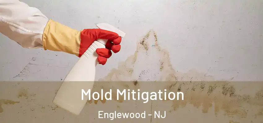 Mold Mitigation Englewood - NJ