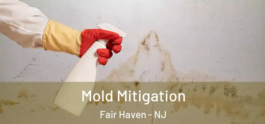  Mold Mitigation Fair Haven - NJ