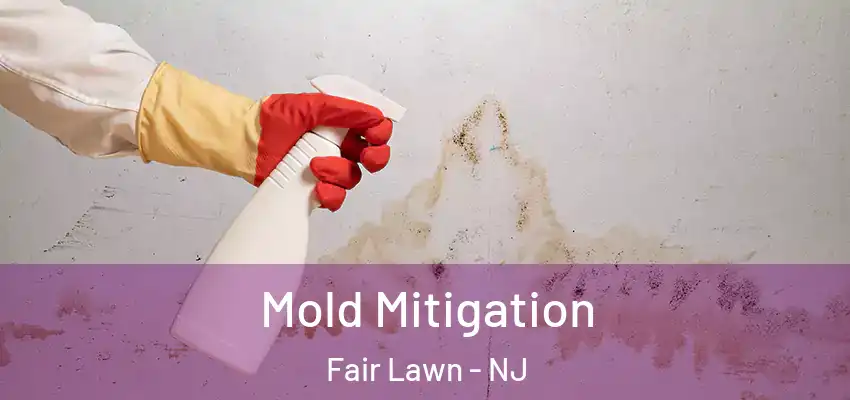 Mold Mitigation Fair Lawn - NJ