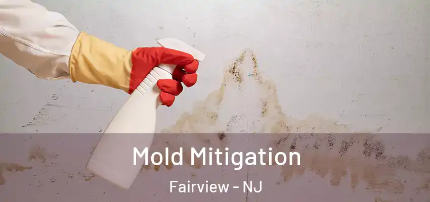 Mold Mitigation Fairview - NJ
