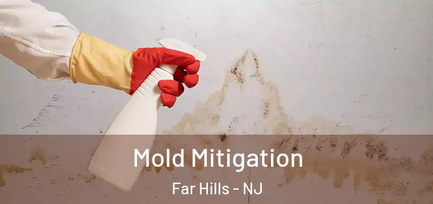 Mold Mitigation Far Hills - NJ