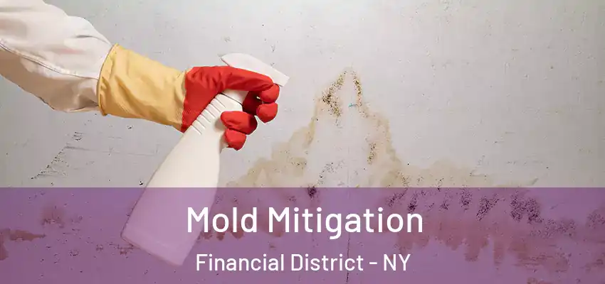 Mold Mitigation Financial District - NY