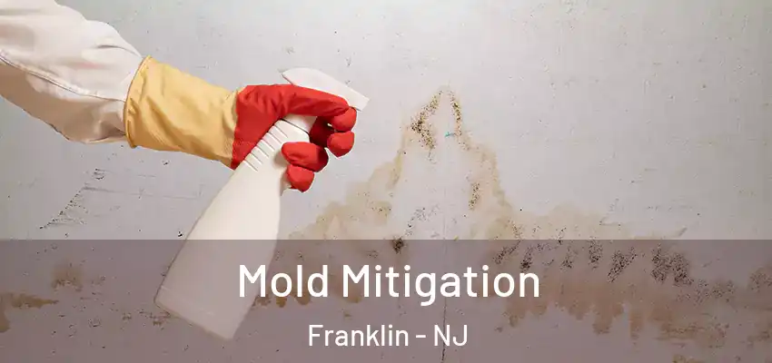 Mold Mitigation Franklin - NJ