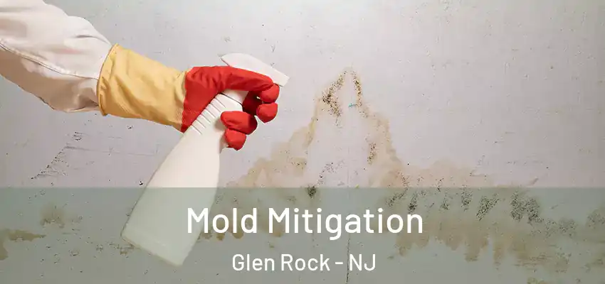 Mold Mitigation Glen Rock - NJ