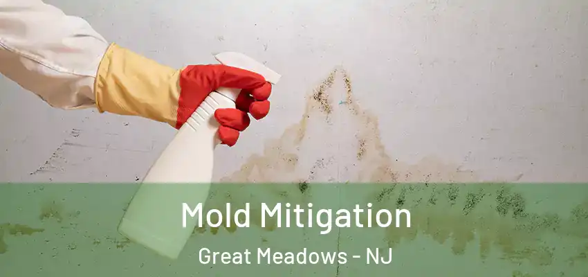 Mold Mitigation Great Meadows - NJ