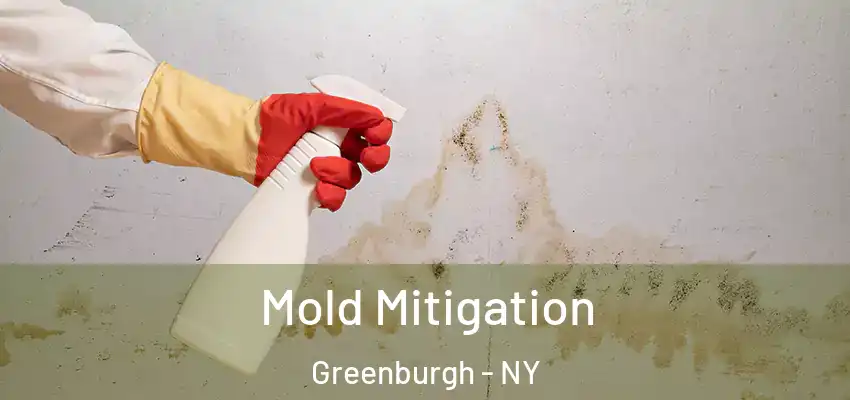 Mold Mitigation Greenburgh - NY