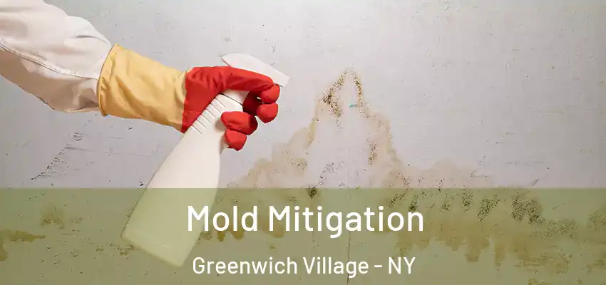  Mold Mitigation Greenwich Village - NY