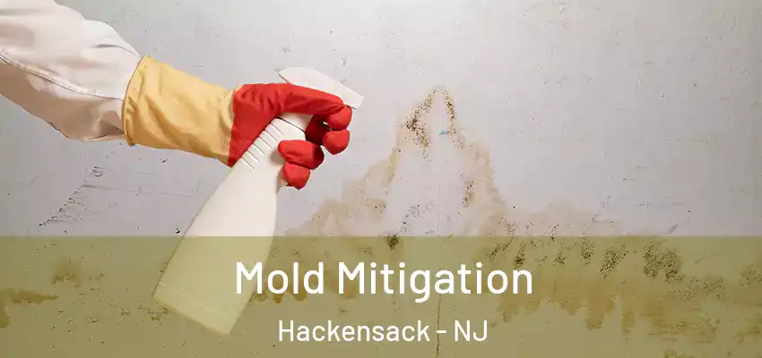 Mold Mitigation Hackensack - NJ
