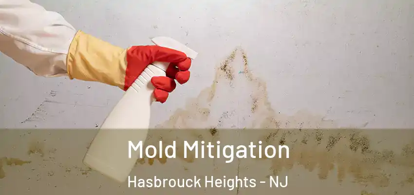 Mold Mitigation Hasbrouck Heights - NJ