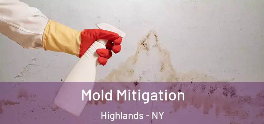Mold Mitigation Highlands - NY