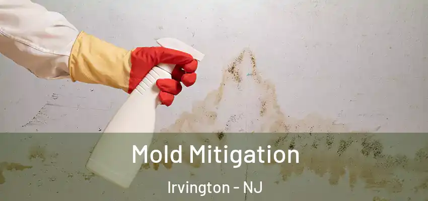 Mold Mitigation Irvington - NJ