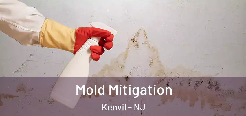 Mold Mitigation Kenvil - NJ