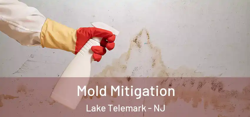Mold Mitigation Lake Telemark - NJ
