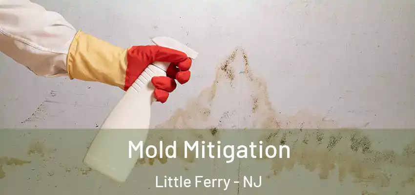 Mold Mitigation Little Ferry - NJ