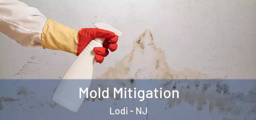 Mold Mitigation Lodi - NJ