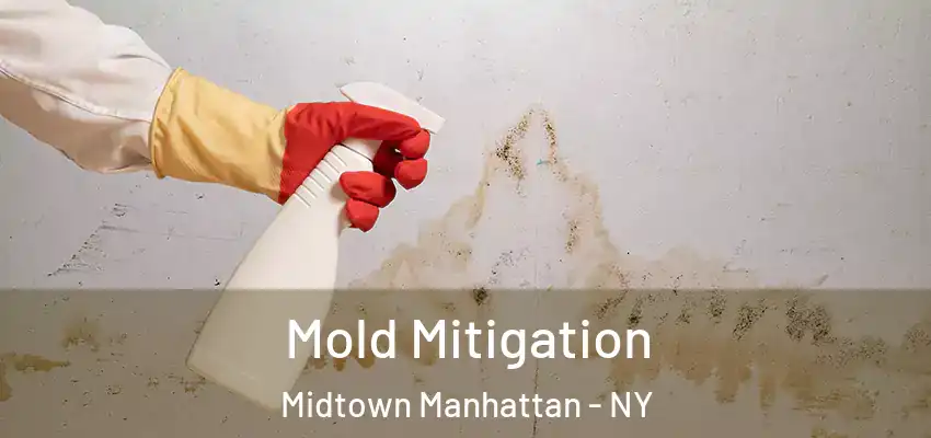 Mold Mitigation Midtown Manhattan - NY